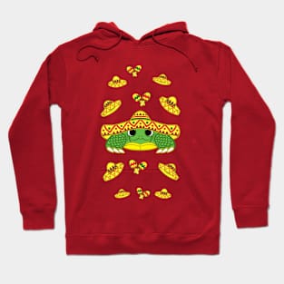 Sombrero Turtle! Hoodie